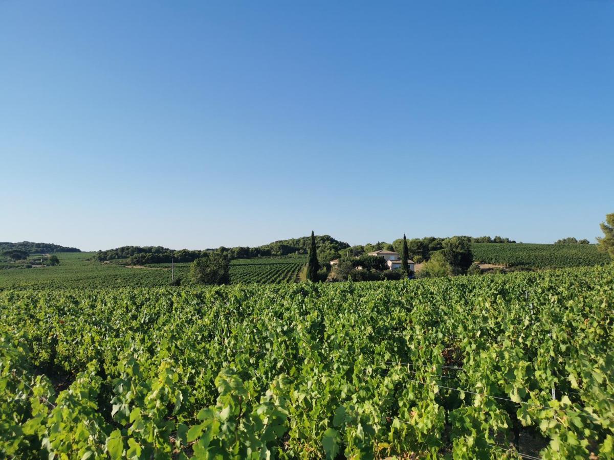 La Chambre Du Saunei Castelnau-de-Guers Εξωτερικό φωτογραφία
